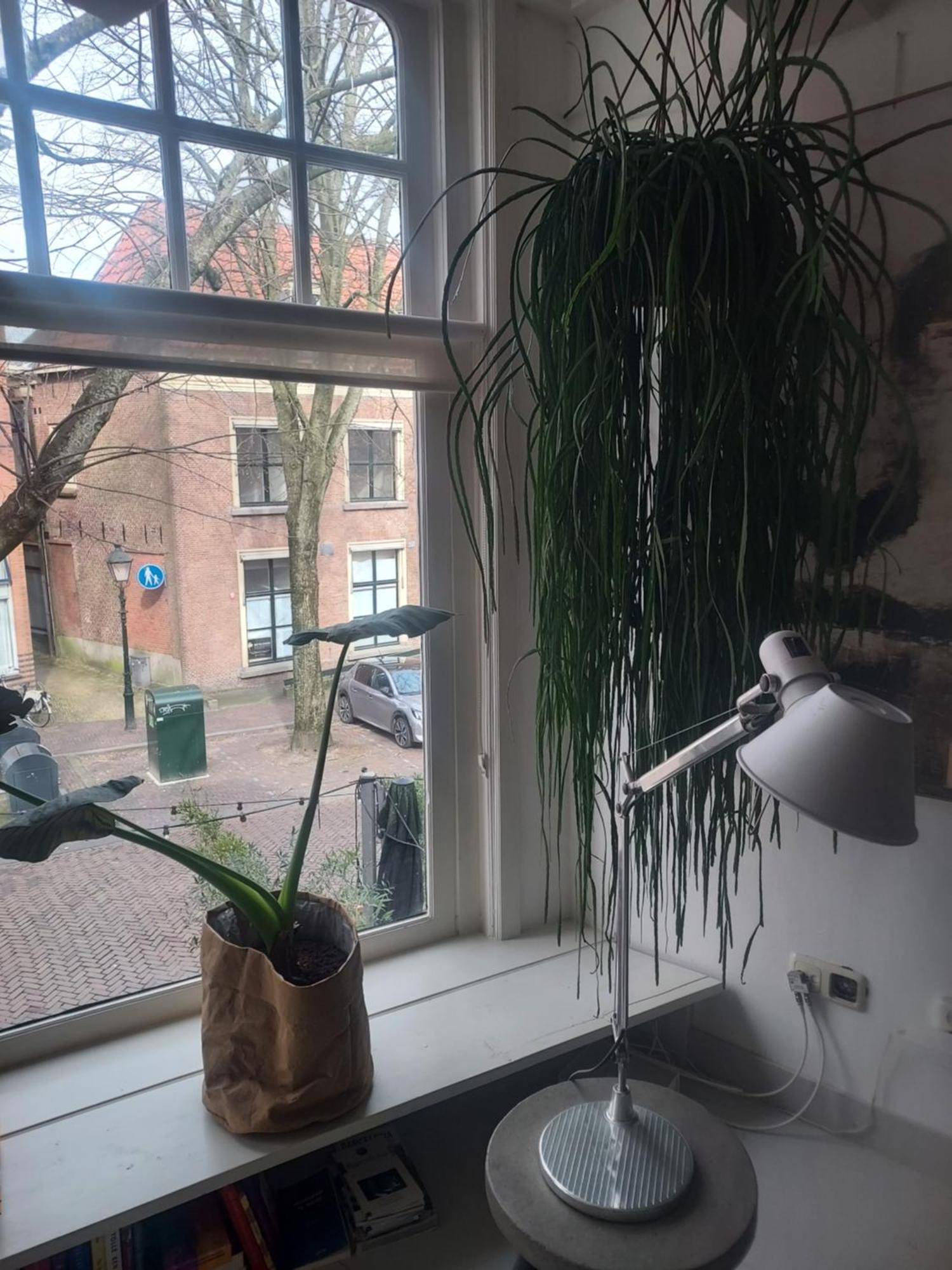 Volledige Bovenwoning Binnenstad Leeuwarden Zewnętrze zdjęcie